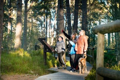 dog friendly things to do